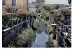 Chaumont En Vexin - La Troène - Chaumont En Vexin