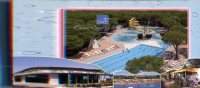 (101) Cavallino Piscine - Swimming Pool - Natation