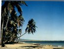 (999) Haiti - Coconut Beach - Haiti