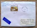 Cover Sent From Finland To Lithuania, 1996, Animals Chickens Red Cross - Storia Postale