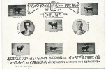 La Coruna Gran Corrida Sep. 17 1905 Toreo Fuentes Y Minuto  6 Toros - La Coruña