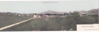 Très Belle Carte.  Souvenir De La  Roche. Vue  Panoramique.  (rare) Format : 28,8 Cm X 9 Cm. - La Roche-sur-Foron