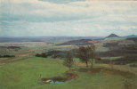 ZS32052 Germany Hegau Panorama Not Used Perfect Shape Back Scan At Request - Singen A. Hohentwiel