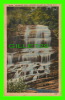 SOUTH CAROLINA - PEARSON'S FALLS BETWEEN SALUDA AND TRYON - SHEVILLE POST CARD CO - - Altri & Non Classificati