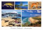 Fraser Island Multiview, Queensland, Banksia Images Q435 Unused 17 X 12 Cm - Sonstige & Ohne Zuordnung