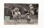 Carte 1905 LA VIE AUX CHAMPS / RETOUR A LA FERME - Other & Unclassified