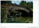 49 THOUARCE PONT SUR LE LAYON  EN 2000 FLAMME CHAMP SUR LAYON - Thouarce