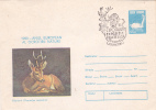 DEER, EUROPEAN YEAR OF NATURE PROTECTION, 1981, COVER STATIONERY, ENTIER POSTAL, OBLITERATION CONCORDANTE, ROMANIA - Game