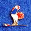 FRANCE ROWING FEDERATION , OLD PIN - Rudersport