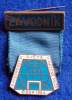 CZECHOSLOVAKIA , HANDBALL WORLD CHAMPIONSHIP 1964 , PARTICIPANT BADGE - Handball