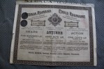 étoile Roumaine Société Anonyme Pr Industrie Du Pétrole-titre /action 500 Lei Pendru Industria Petroleului Bucarest 1895 - Erdöl