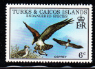 Turks & Caicos MNH Scott #380 6c Osprey - Endangered Species - Turks E Caicos