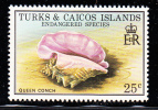 Turks & Caicos MNH Scott #382 25c Queen Conch - Endangered Species - Turks & Caicos (I. Turques Et Caïques)