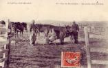 Non Localisé.  Auvergne   Cantal Pittoresque   15 La Traite Des Vaches  (voir Scan) - Auvergne