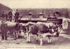 La Vie Aux Champs En Bourgogne    Yonne    Une Voiture Gerbière A La Ferme   Vaches   Attelage - Bourgogne