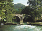 ASCAIN (64) -  Pont Romain Sur La Nivelle - Ascain