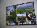 VDS CARTE POSTALE CHABLIS  CHABLIS ET SON VIGNOBLE 4 MAGNIFIQUES VUES DE CE CHARMANT VILLAGE - Chablis