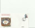 CHINA 1999 - FDC UNITY OF ETHNIC GROUP -50TH ANNI.FOUNDING OF PRC  - MIAO  GROUP W/1 STAMP OF 80  OCT 1, 1999 R 356 6 - 1990-1999