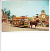 Disneyland Dobbin Horse Main Street Trolley - Disneyland