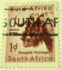 South Africa 1954 Gnu 1d - Used - Autres & Non Classés