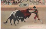 CORRIDA  DE TOREAUX  LANCEANDO  DE CAPA - Bull