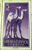 Spanish Sahara 1957 Animals Camels 5c - Mint Hinged - Spanische Sahara