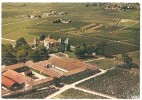 Château D'Yquem Sauternes Vue Du Ciel Langon - Langon