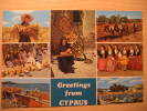 CYPRUS Chypre To St Wendel Germany Burro Burros Asno Asnos Ass Donkey Donkeys Ane Anes Cul Greetings Post Card - Burros Y Asnos