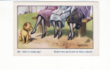 Carte 1915 Signée Donald Mc Gill : "croyez Vous Que Je Suis Un Chien Veinard" - Mc Gill, Donald