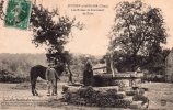 JOUVIGNY-s/-ANDAINE. Les Ruines De Bonvouloir. Le Puits. (paysan Menant Un Cheval Au Puits, Animation). - Juvigny Sous Andaine