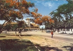 ETR - Congo Français - Place De La Gare Flamboyants En Fleurs - Moderne Gd Format - Pointe-Noire