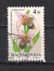 YT N° 3131 - Oblitéré - Orchidées - Used Stamps