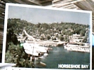 CANADA HORSESHOE BAY NAVE SHIP  FERRY  VB1981 DT15434 - Vancouver