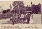 Lyon     69       La Voiture Aux Chèvres Place Bellecourt - Otros & Sin Clasificación