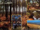 (678) Les Landes, Recolte De Résine - Andere & Zonder Classificatie