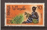 Somalië   Y/T    15     (0) - Somalie (1960-...)