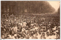 KOEKELBERG-GANSHOREN- BASILIQUE -CEREMONIE DE RECONNAISSANCE NATIONALE-la Messe - Koekelberg