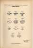 Original Patentschrift - G. Webb In Highworth , England , 1895 , Knopf , Manschetten , Knöpfe  !!! - Botones