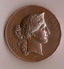 Médaille/Ministére Agriculture Et Commerce/Mention Honorable/Paris/1876     D44 - France