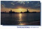 Sunset At The Wrecks, Tangalooma Wild Dolphin Resort, Moreton Island, Queensland  - Murray Views TLM 6 Unused - Sonstige & Ohne Zuordnung