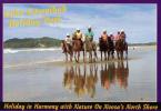 Horse Riding On Double Island Point Beach, Noosa, Queensland Unused - Other & Unclassified