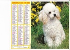 Almanach Des PTT 1982  "chien / Petite Fille, Poussin Et Chien" OBERTHUR - Grossformat : 1981-90