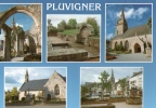 CPM Pluvigner - Pluvigner