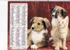 Almanach Des PTT 1983  "chiens Et Chat / Chevaux Sauvages" OBERTHUR - Grossformat : 1981-90