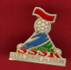 22374-pin's Golf.SSSR.associationsportive Sainte Rosienne. - Golf