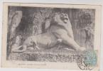 CPA BELFORT LE LION En 1905 !!! - Belfort – Le Lion