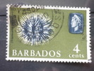 Barbados - 1965/66 - Mi.nr.238 - Used - Marine Animals - Sea Urchin - Definitives - Barbados (1966-...)