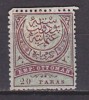 PGL AP119 - TURQUIE TURKEY Yv N°45 * - Unused Stamps