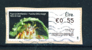 IRELAND  -  ATM Stamp Used On Piece As Scan - Franking Labels