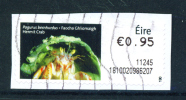 IRELAND  -  ATM Stamp Used On Piece As Scan - Franking Labels